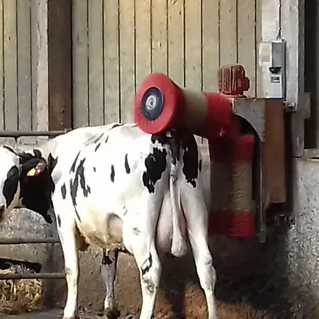 Ferme Du Rupalley Frühstückspension