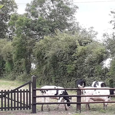 Ferme Du Rupalley 滨海伊西尼