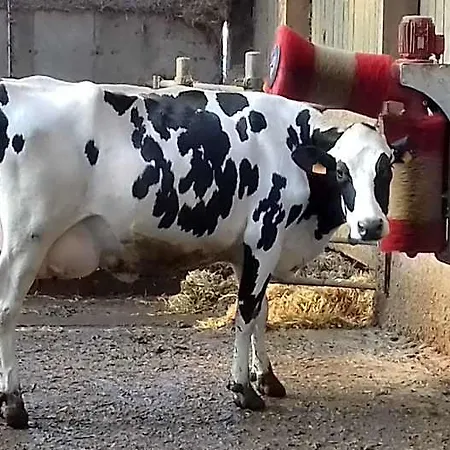 Ferme Du Rupalley إيزيغني سور مير