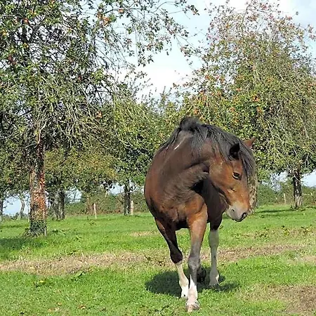 Ferme Du Rupalley فندق مبيت وإفطار 3*