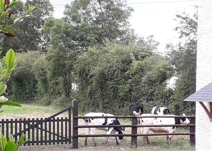 Ferme Du Rupalley Isigny-sur-Mer