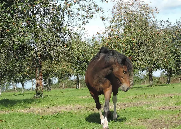 Ferme Du Rupalley 3* Isigny-sur-Mer