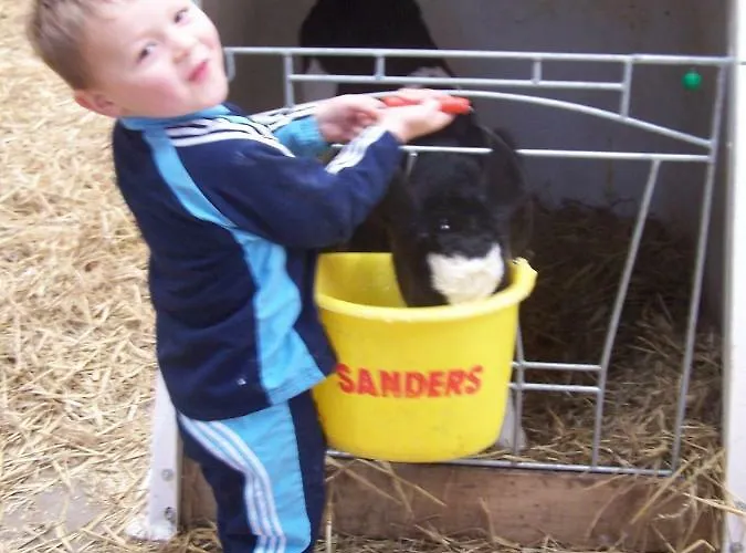 Bed & Breakfast Ferme Du Rupalley Isigny-sur-Mer