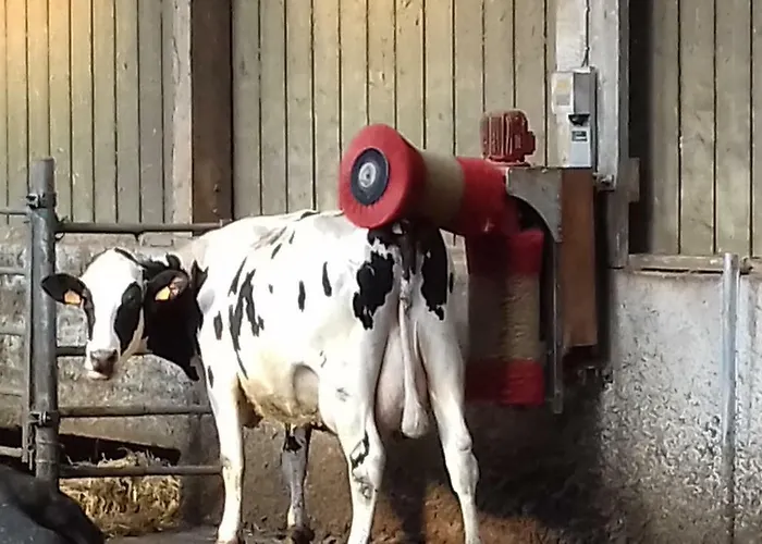 Ferme Du Rupalley Bed & Breakfast